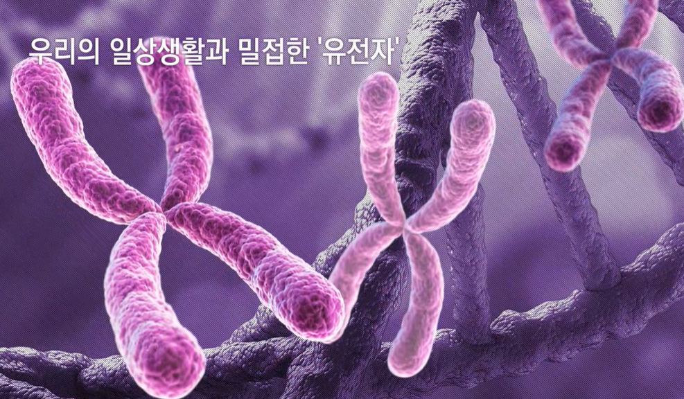 교육과정사진